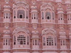 Jaipur Fotogalerie * Bilder * Fotos