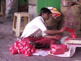 Jaipur Fotogalerie * Bilder * Fotos