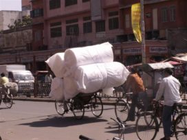 Jaipur Fotogalerie * Bilder * Fotos