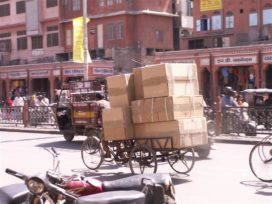 Jaipur Fotogalerie * Bilder * Fotos